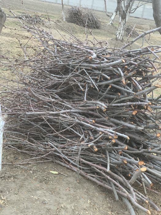 O’tin sotiladi narxini kelishamiz