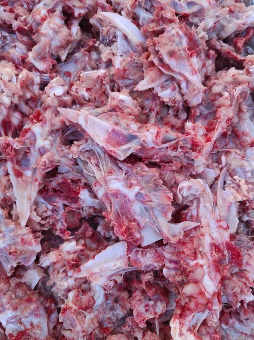 Храна за кучета и котки