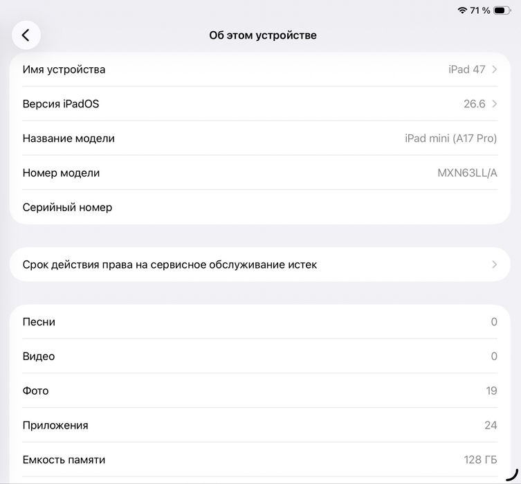 iPad Mini 7(A17 Pro)