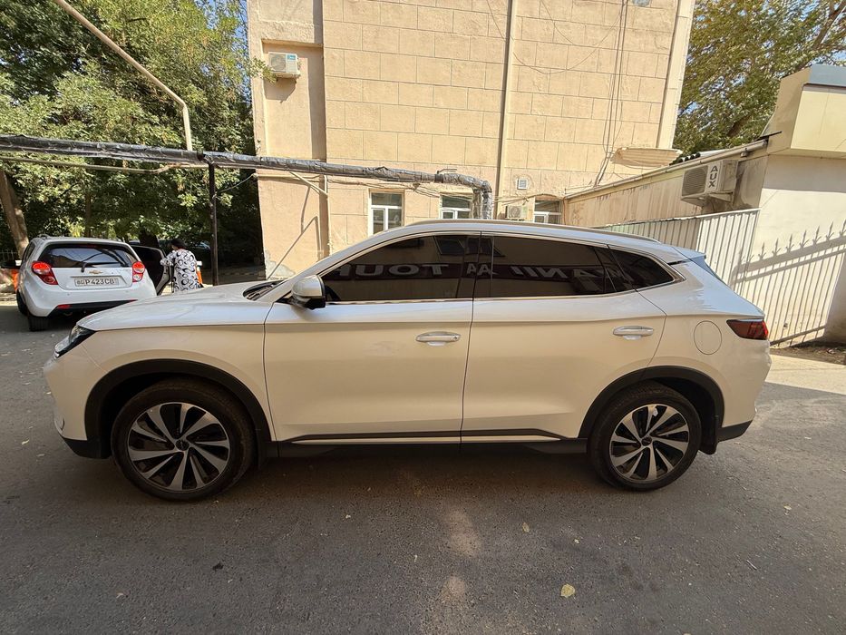 Byd chempion gibrid 150 km 2024 oficial
