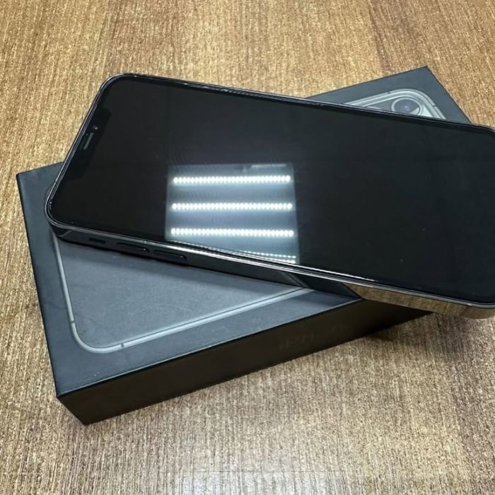 iPhone Xs Max в корпусе 13 Pro Max