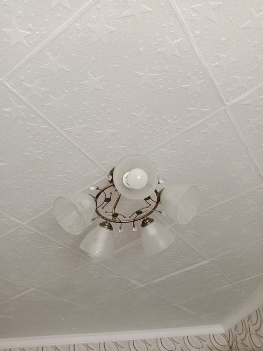 Люстра пятирожковая 2 штуки