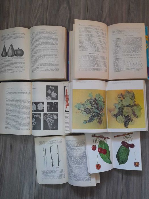 Vand carti pomicultura, viticultura, Colectia Ceres.