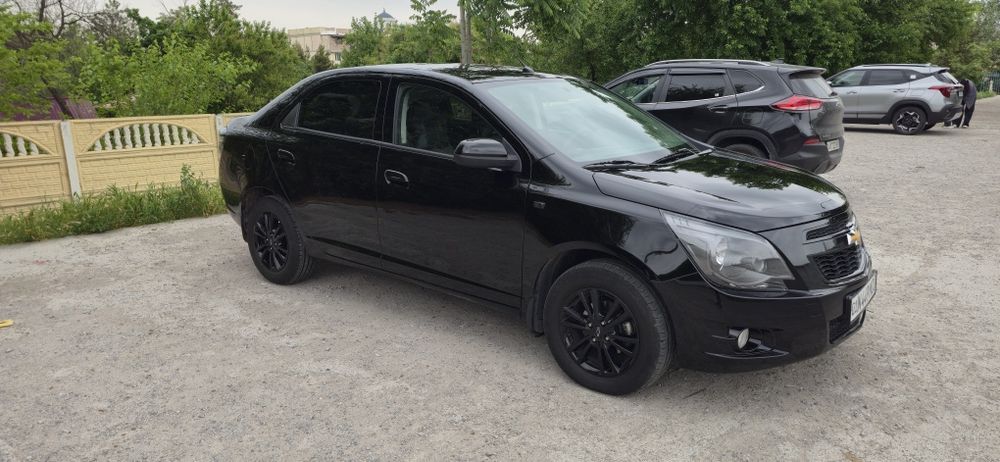 Cobalt midnight MSM
