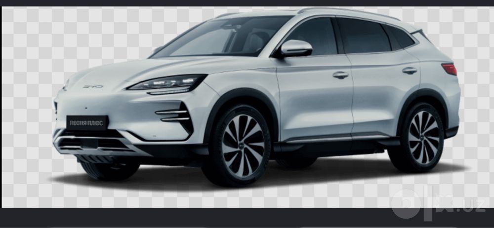 BYD CHEMPION 2024 года,  пробег 26000