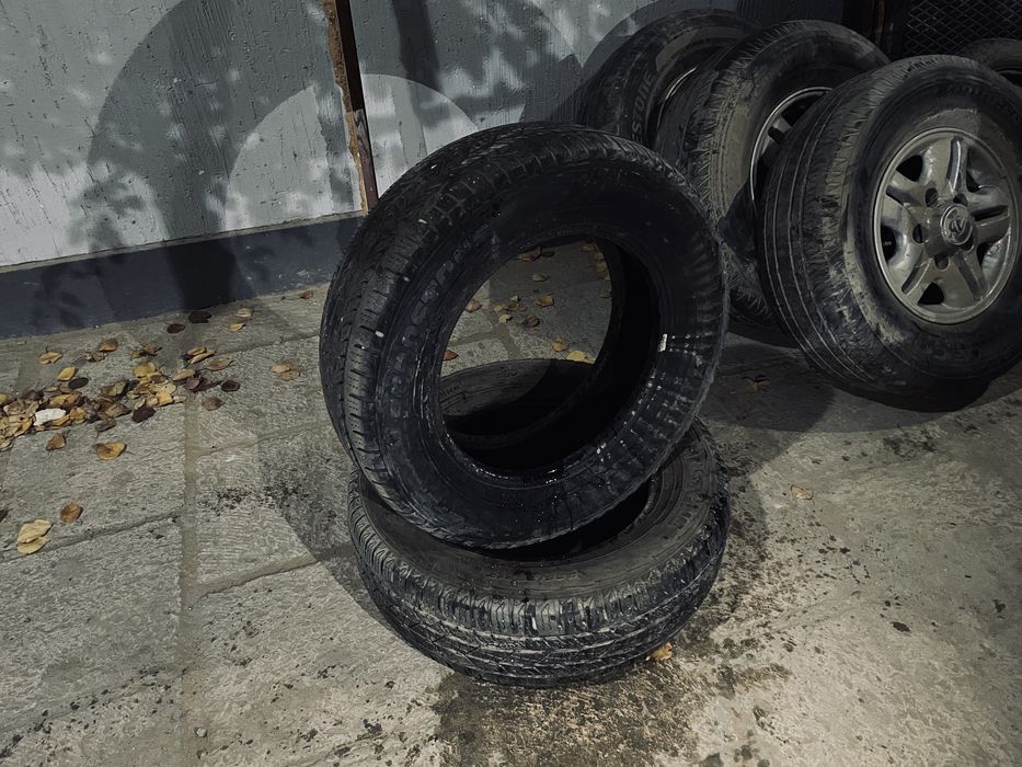 Чистый нормалный шиный