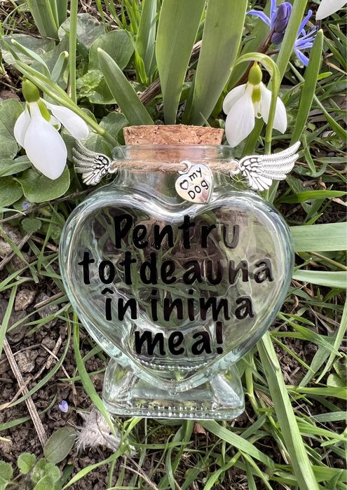 Urna pentru animalul de companie