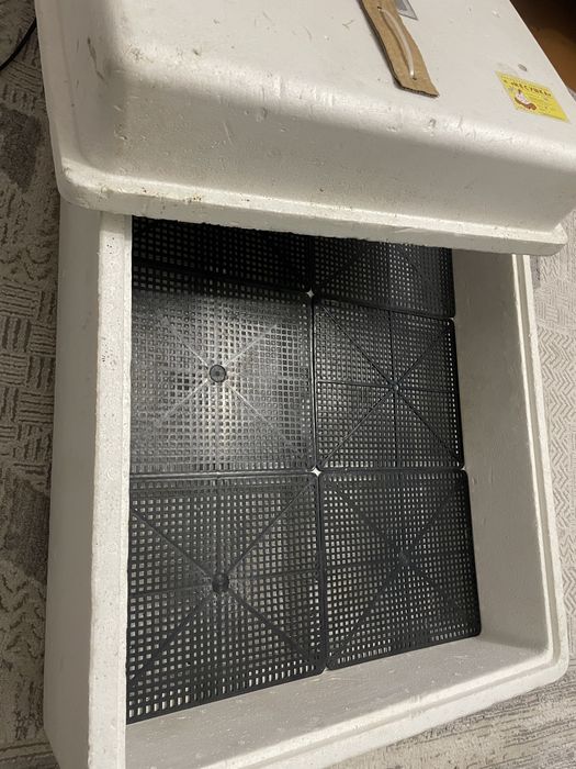 Инкубатор «несушка»