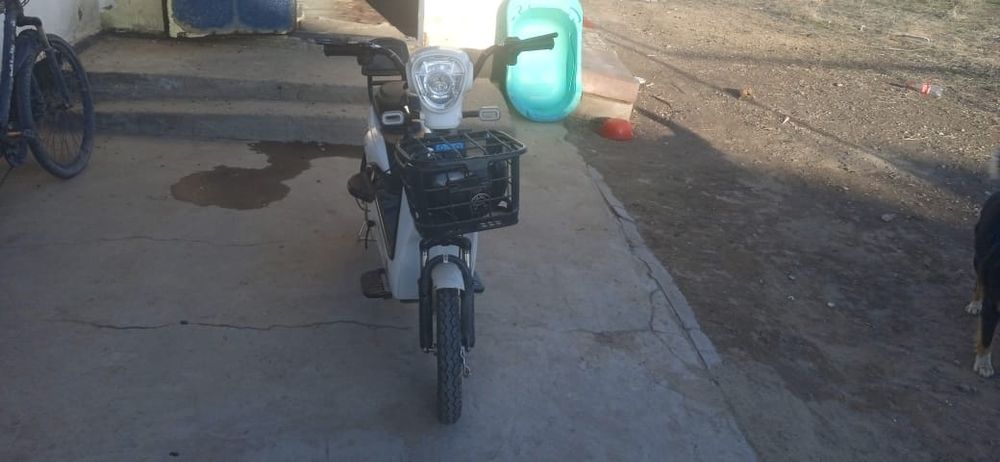 Мапед и велосипед