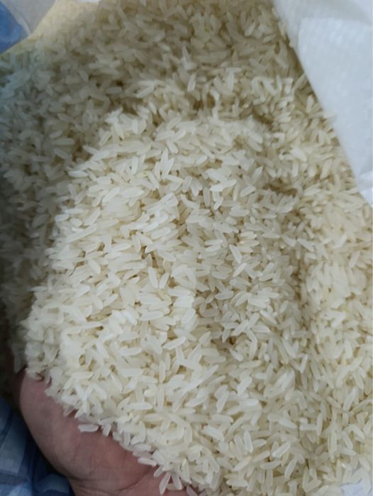 Рис Лазер куриш