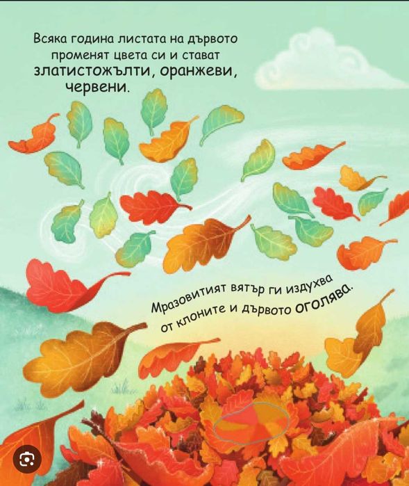 Детски книжки с твърди корици и страници