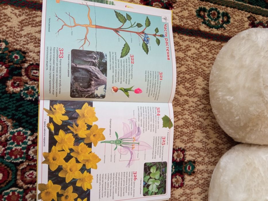 Продам энциклопедию для детей