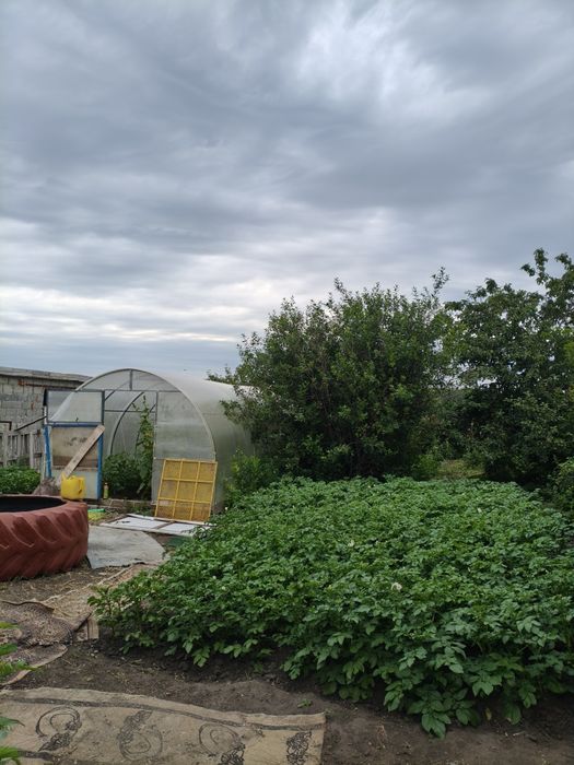 Продам дом за городом. Нечаевка