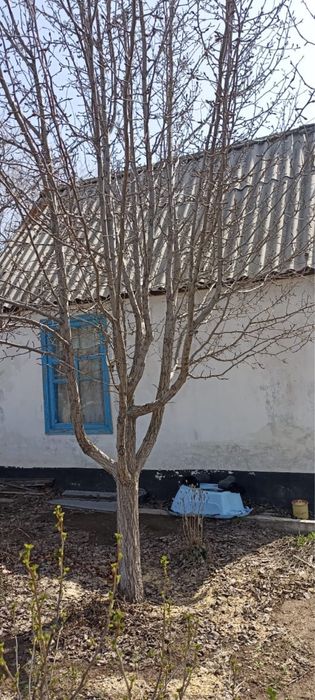 Продам дачу в Цветущем саду