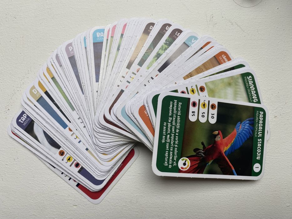 Colectia completa Expeditie in jurul lumii + 5 tatuaje bonus