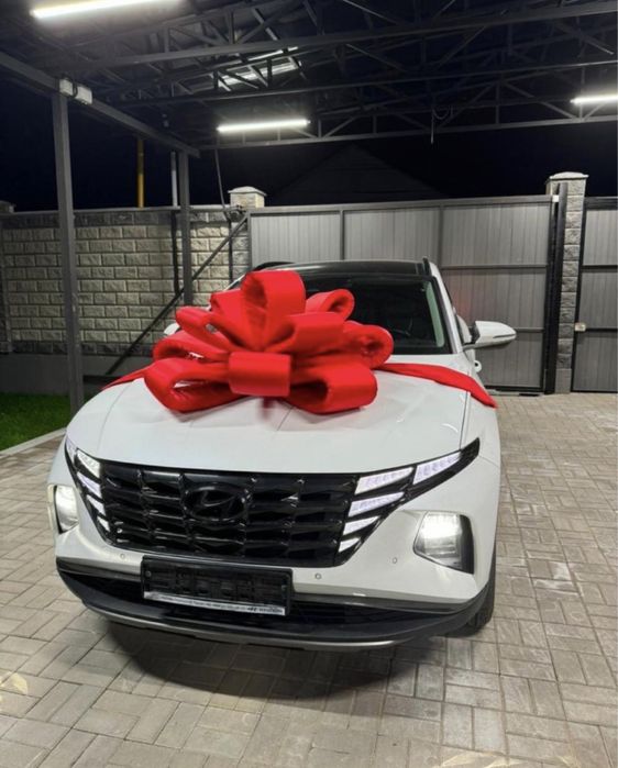 АРЕНДА БАНТОВ в Павлодаре банты для автомобиля