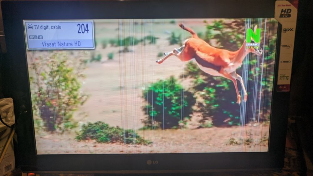 Televizor LG cu defect
