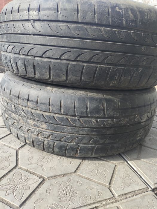 205 60 р15 летние