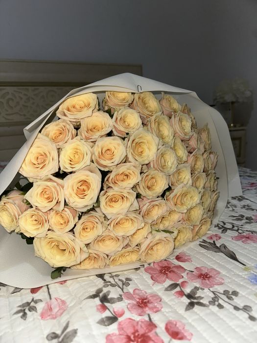 цветы желтые розы