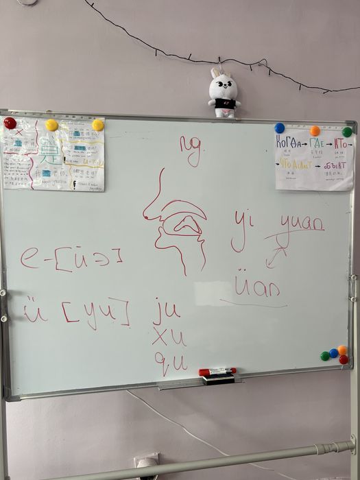 Китайский Язык репетитор, педагог, преподаватель