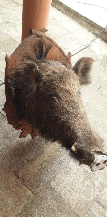 Декорация глава на глиган .