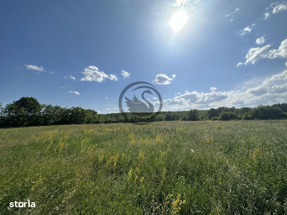 Teren intravilan de vanzare | 11.000 mp | Ghirdoveni | Comision 0%