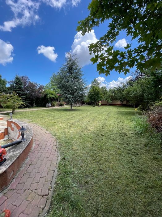 Întreținere grădini și spații verzi – Lăsăm totul perfect!