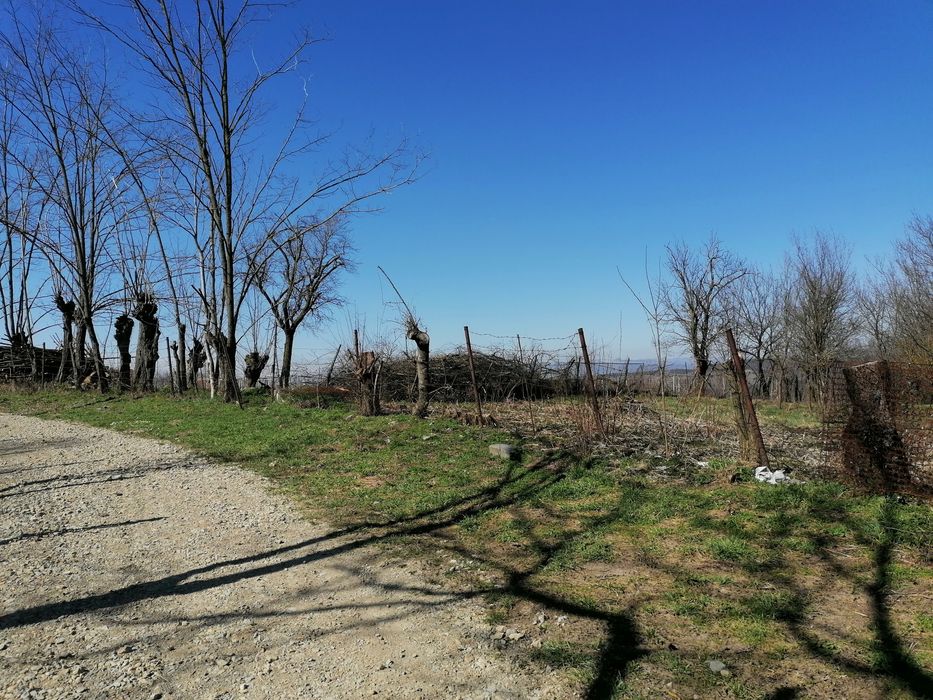Teren intravilan ieftin la Straja(lângă Alba Iulia)