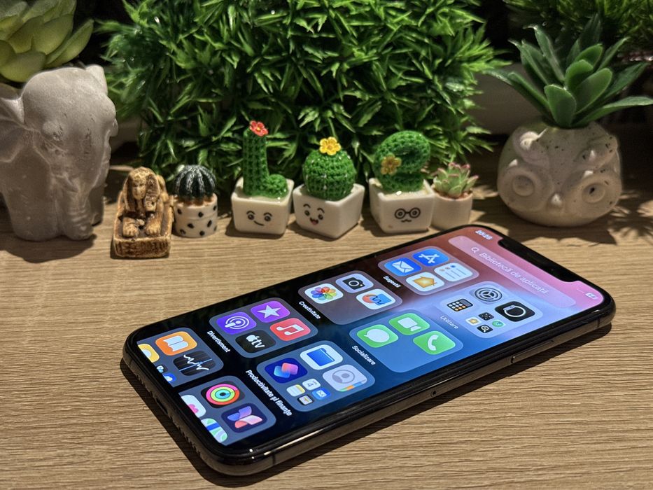 Iphone xs 256gb ‼️100% baterie‼️Garantie‼️