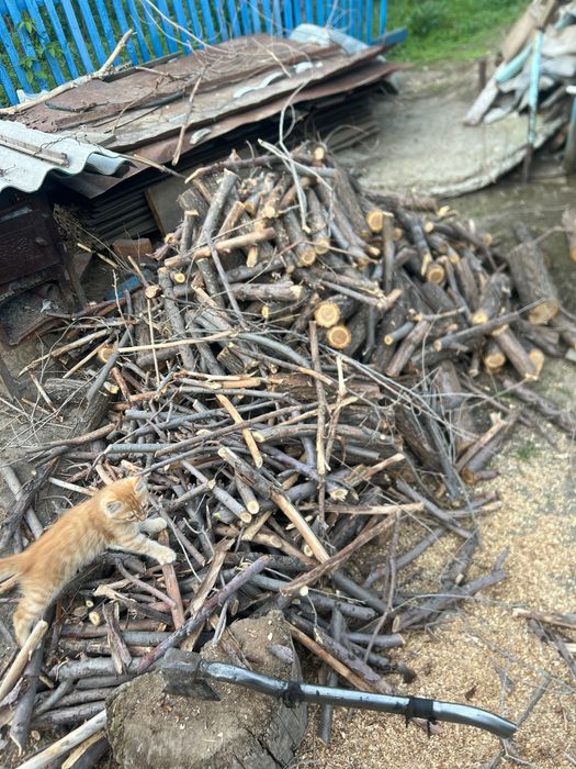 продам дрова очень сухие