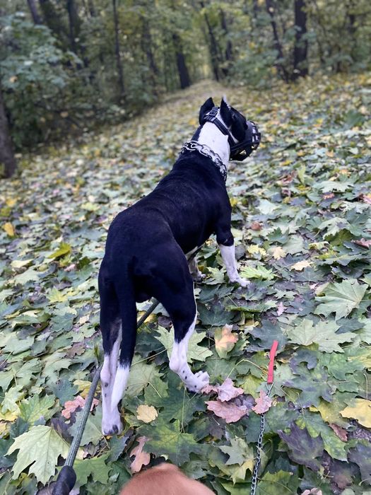 Кабель на вязку