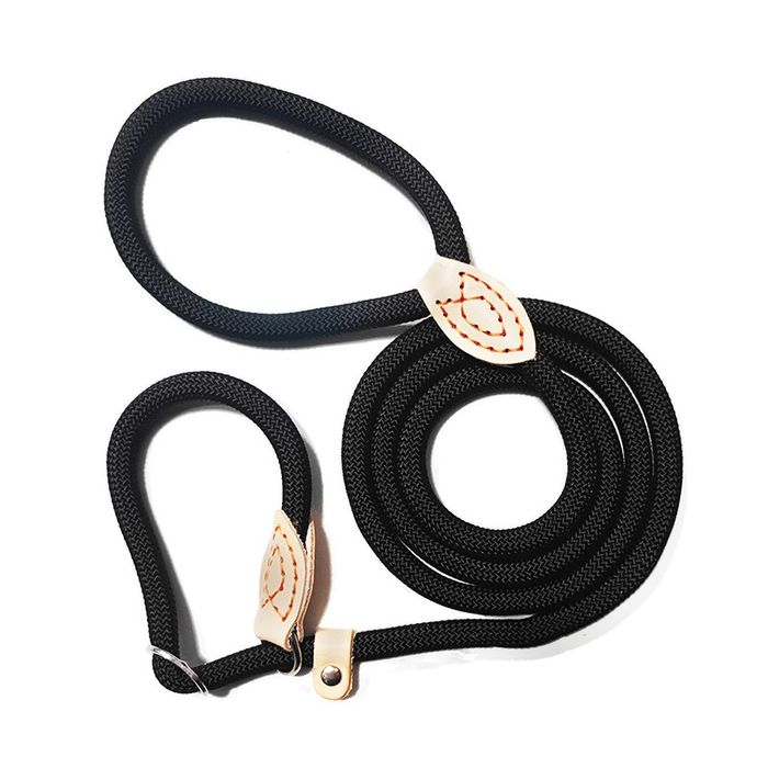 Поводок ошейник контроллер ринговка