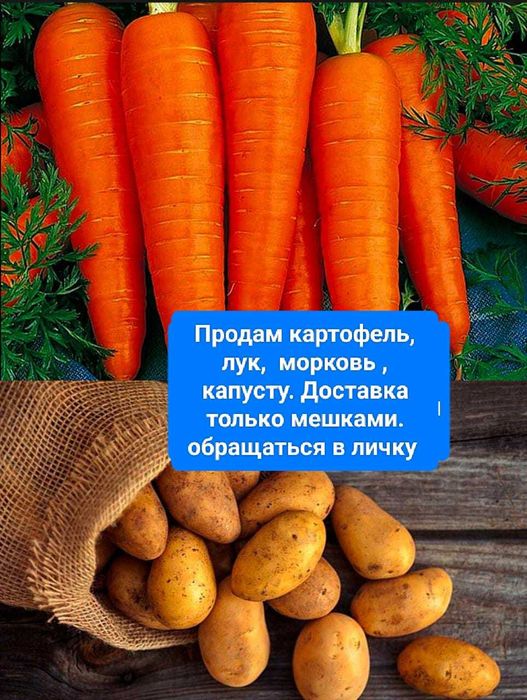 Продам свежие овощи