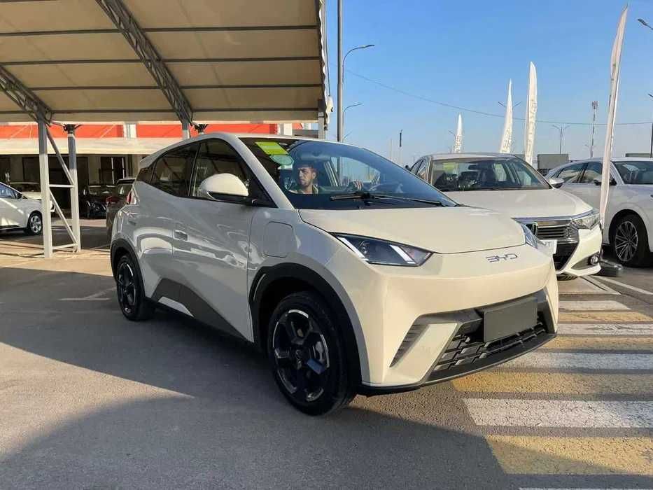 BYD Seagull Продажа за наличные и халяльная продажа в рассрочку