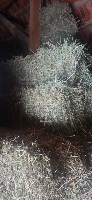 Baloți fân și otavă