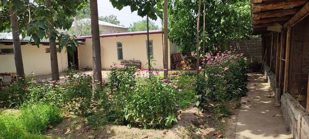 Продажа дачного участка возле парка Янги Узбекистан, Янги базор