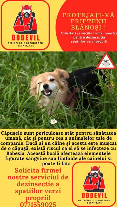 DDD dezinfectie dezinsectie deratizare DDDEVIL