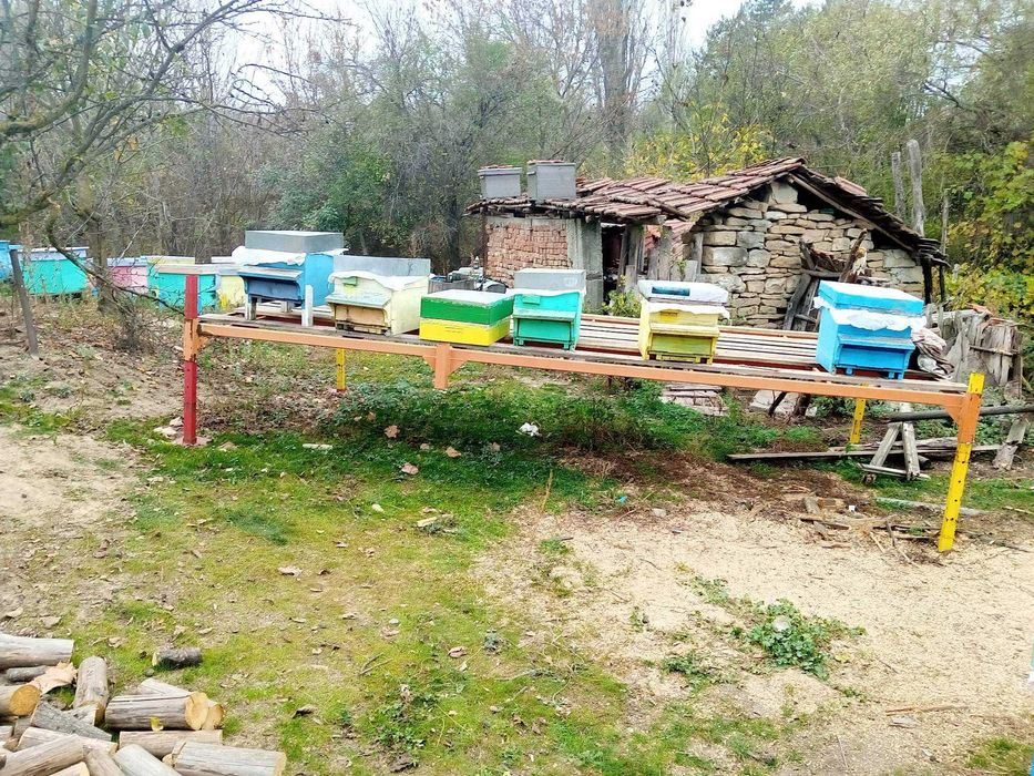 Пчеларски платформи