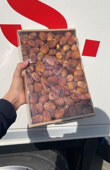 Финики Сукари, Қурма