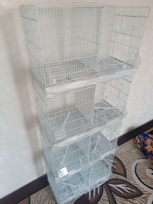 Kletka parovka sotiladi yengi!