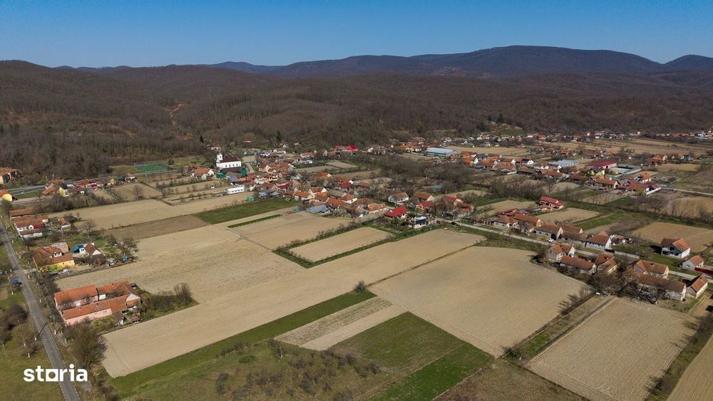 Loc de casă în Odvoș - Conop 3000mp