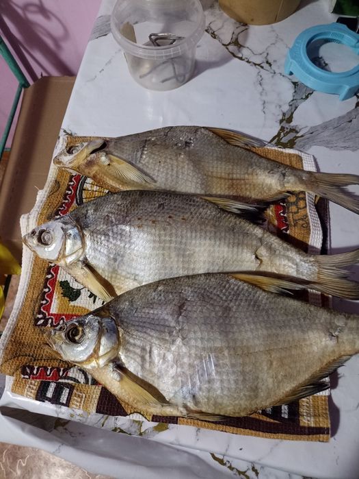 Лещь вявленный Капчагай