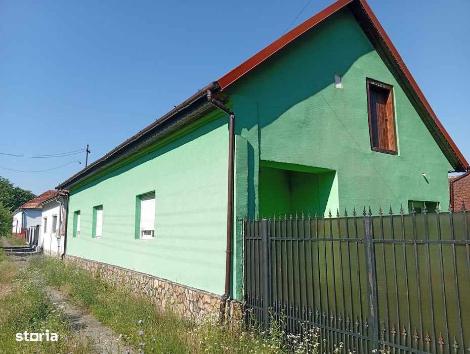 Casă de vanzare în satul Brazii