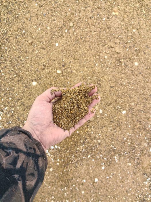 Пгс Қара киіз||Пгс Бейнеу