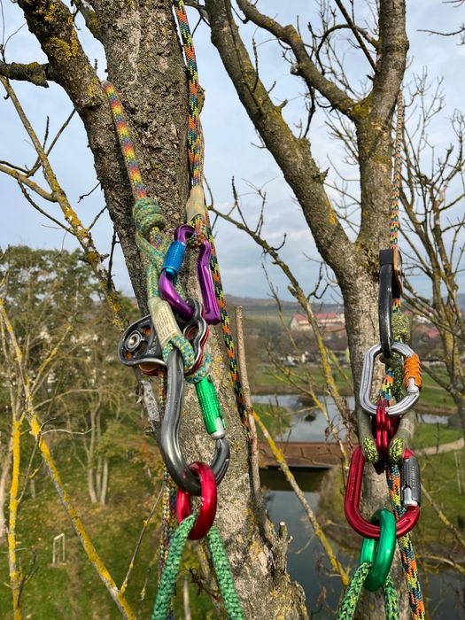 Toaletare arbori / Taieri copaci - firma arborist certificat ISA–Cluj