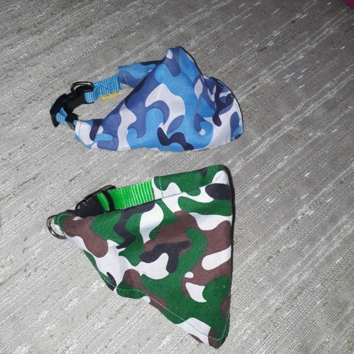 Lot îmbrăcăminte și accesorii cățel talie mică