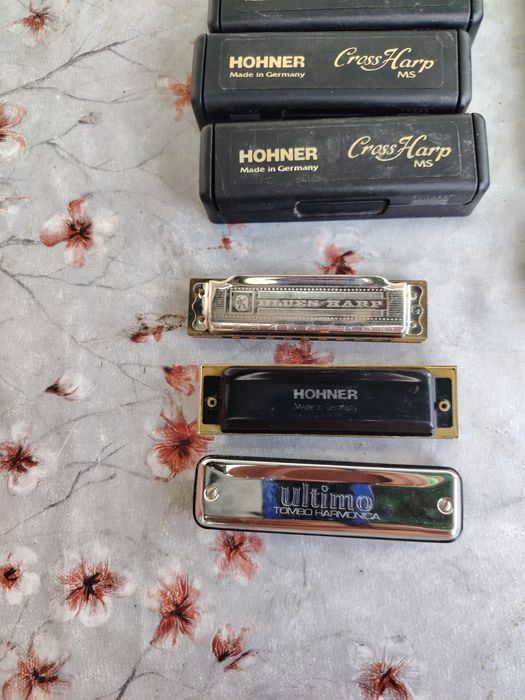 Muzicute horner și tombo