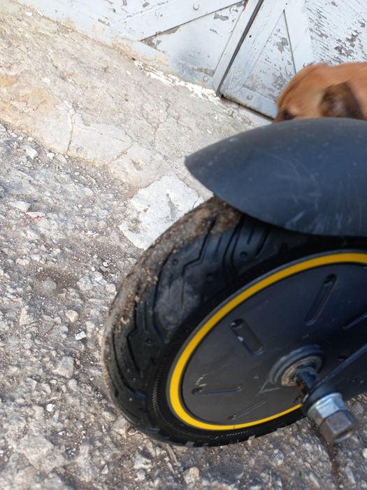 Тротинетка Max G30 500W