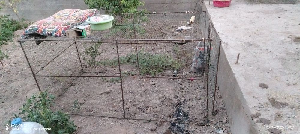 Tovuq va joja boqish uchun yozgi katak