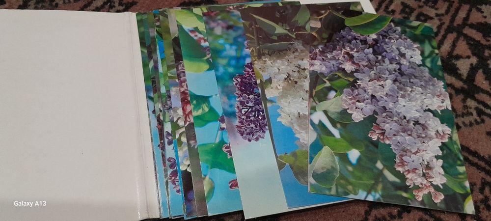 Открытки СССР 1960–1990 гг.